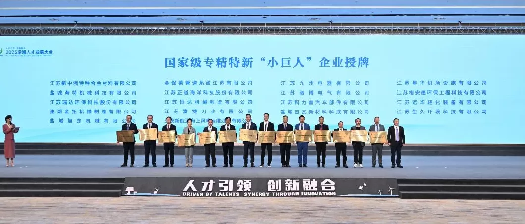 连续15年向海内外英才发出邀请，2025江苏·盐城沿海人才发展大会举行-第3张图片-