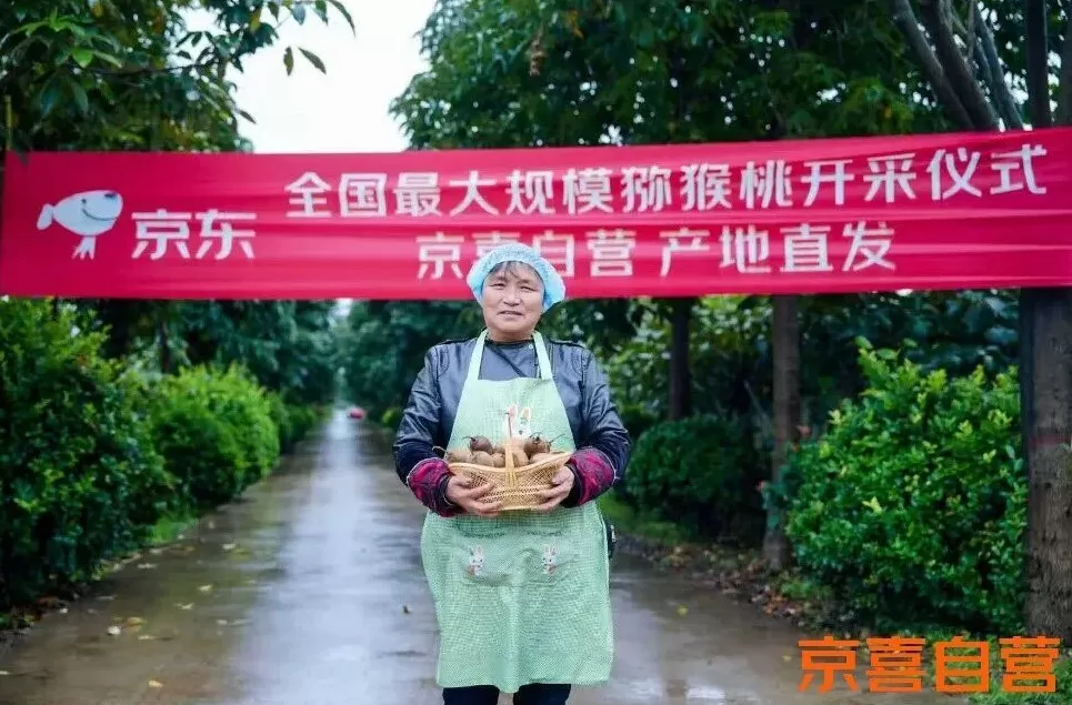 刘强东做低价的两年,京喜已经开始反哺京东-第2张图片- 刘强东做低价的两年,京喜已经开始反哺京东-第2张图片-