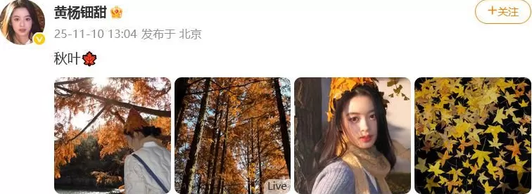 耳环风波后,黄杨钿甜首发文,时隔6个月晒秋日美照,目前有三部剧待播-第1张图片- 耳环风波后,黄杨钿甜首发文,时隔6个月晒秋日美照,目前有三部剧待播-第1张图片-