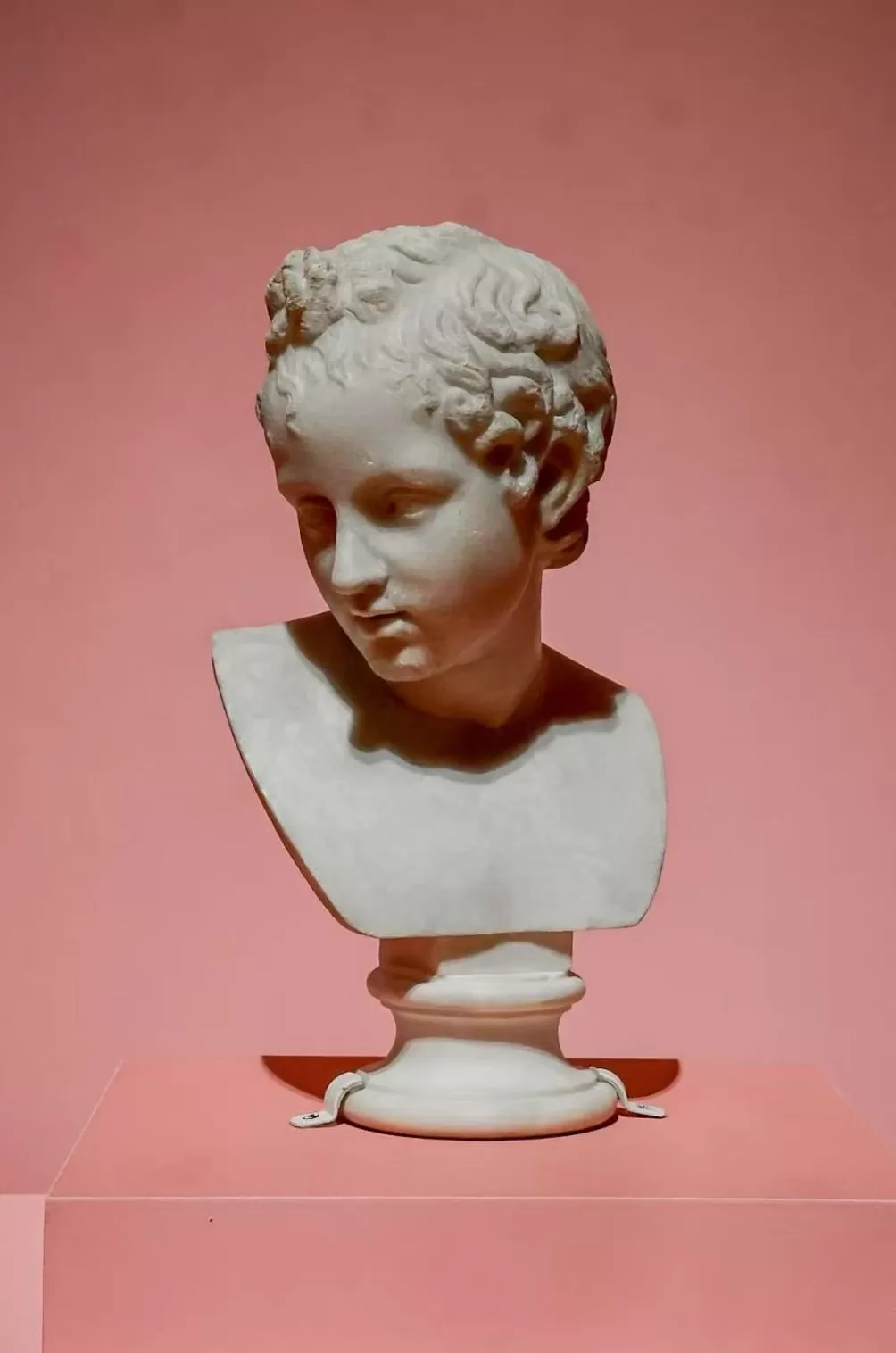 从古罗马诸神到罗马五帝，古罗马大展上海揭幕-第2张图片-