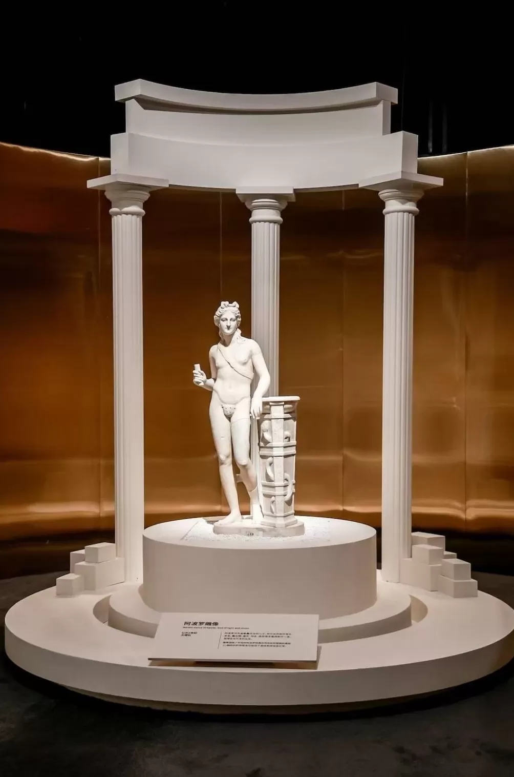 从古罗马诸神到罗马五帝，古罗马大展上海揭幕-第8张图片-