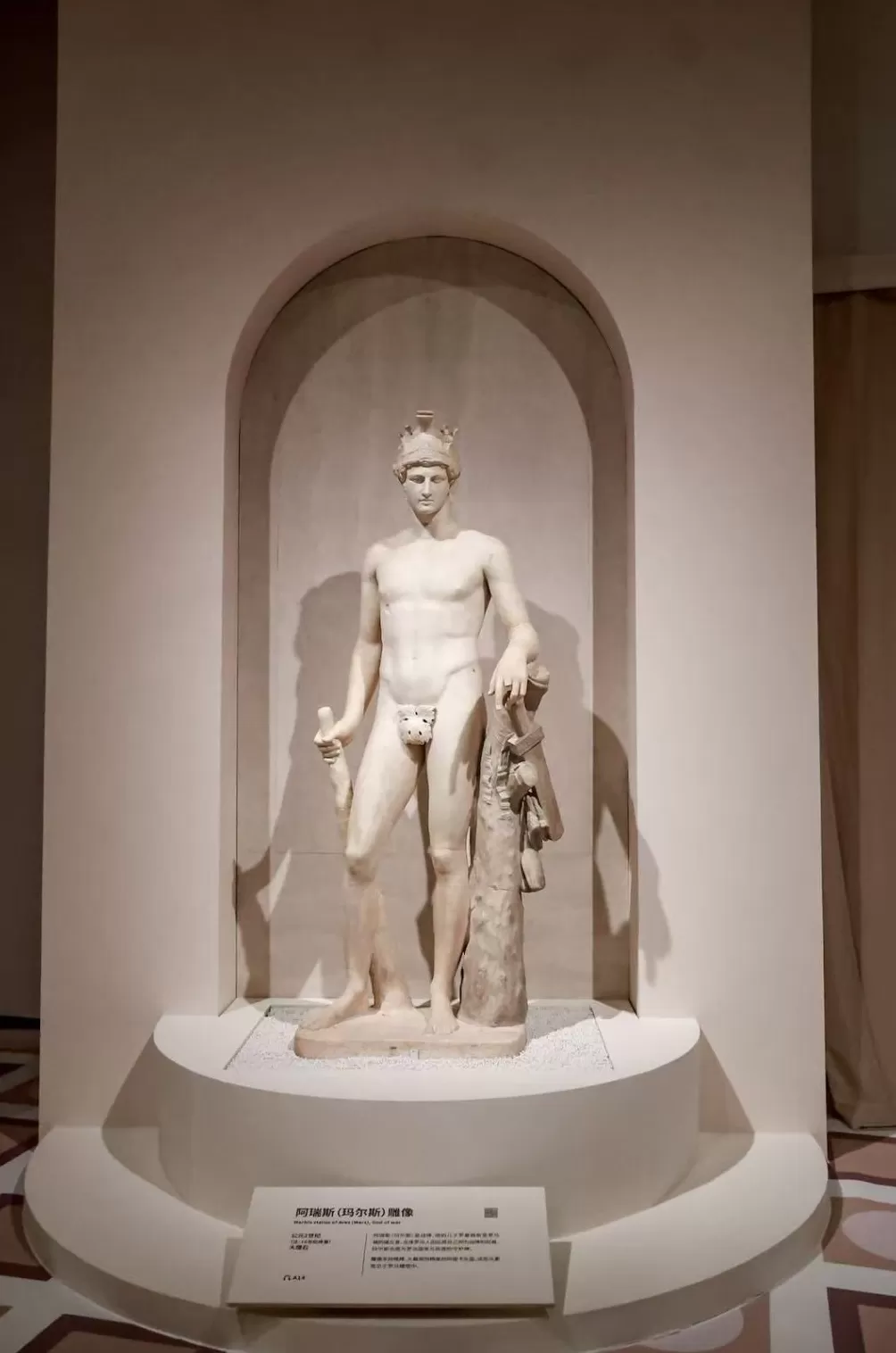 从古罗马诸神到罗马五帝，古罗马大展上海揭幕-第11张图片-