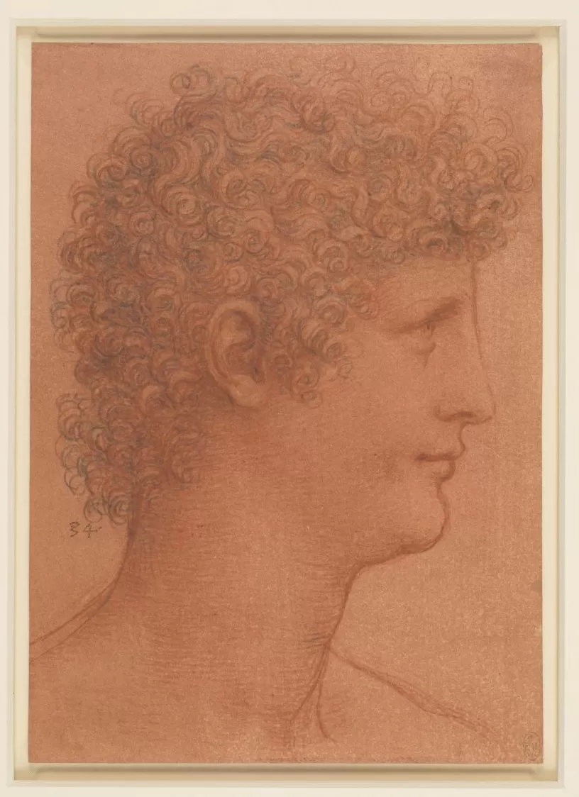 环球展讯｜“超现实主义”仍在回响-第13张图片-