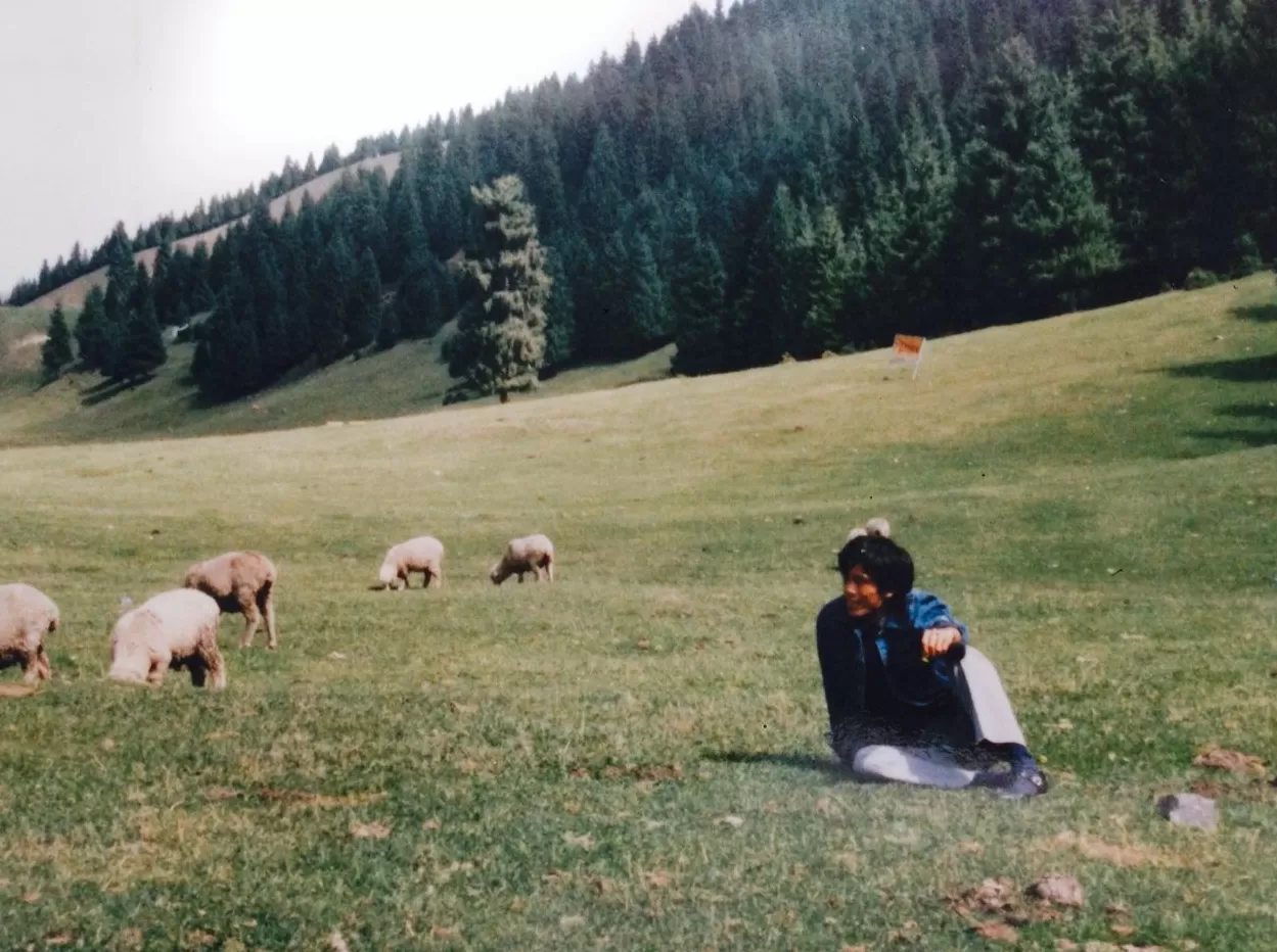 对话| 作家张者：谈到新疆建设兵团，永远不能忘记上海人-第3张图片-
