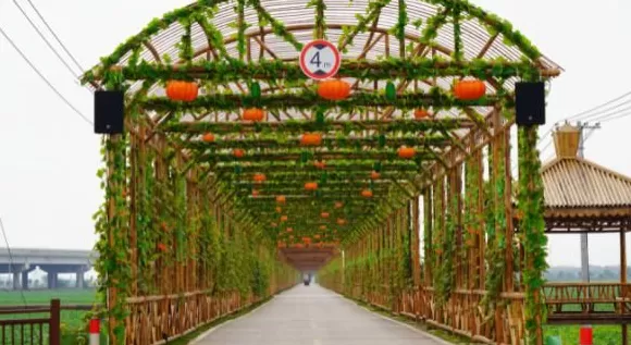 【理响中国·一线探新】探寻诗意嘉鱼的绿色富民密码-第3张图片-