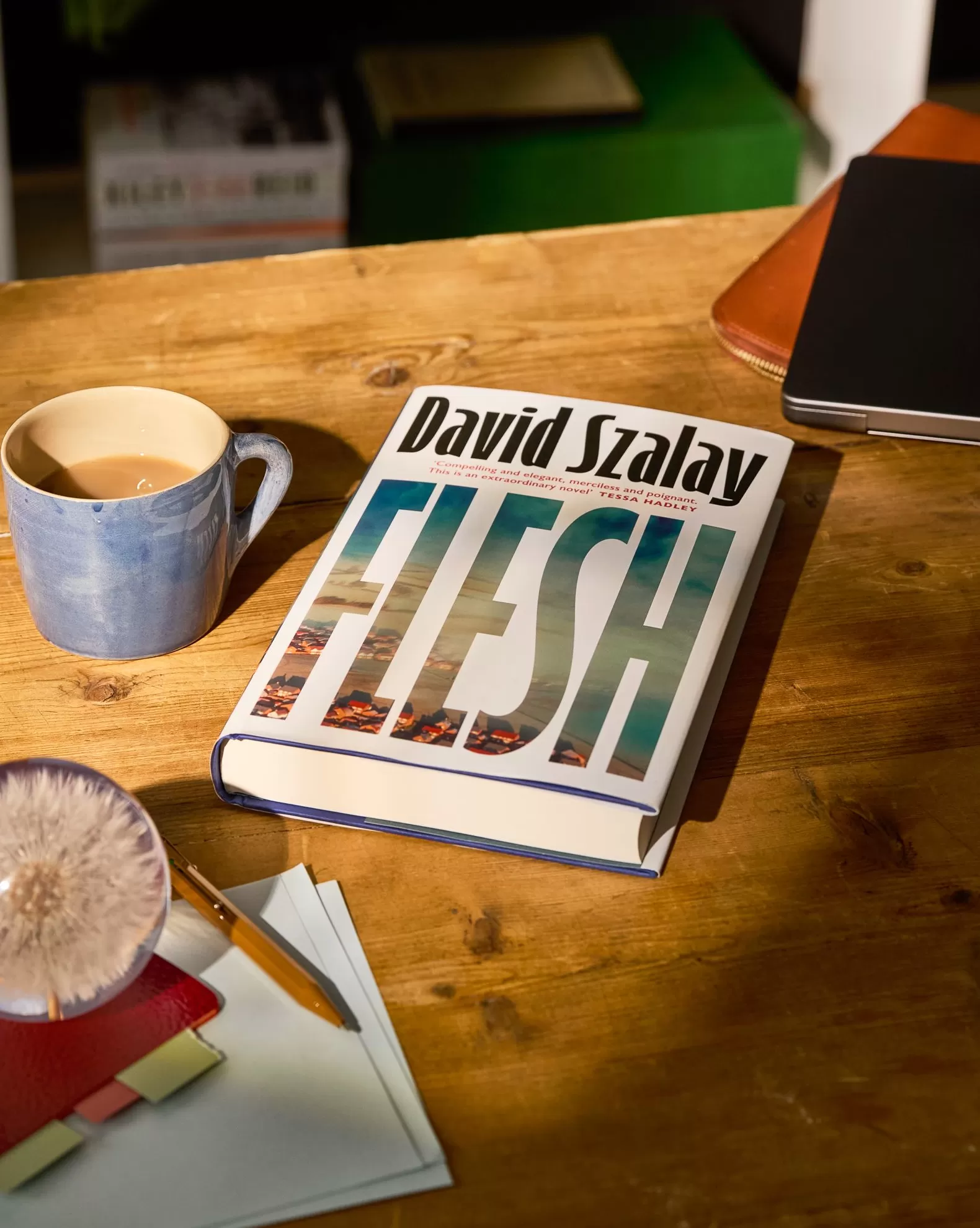 大卫·绍洛伊凭《肉身》获2025布克奖，书中探讨了男性气质-第1张图片-