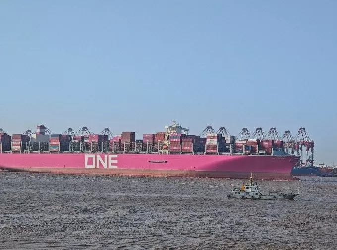 岛屿人类学漫游｜大、小洋山岛：从“洋山鱼”到“洋山港”-第2张图片-