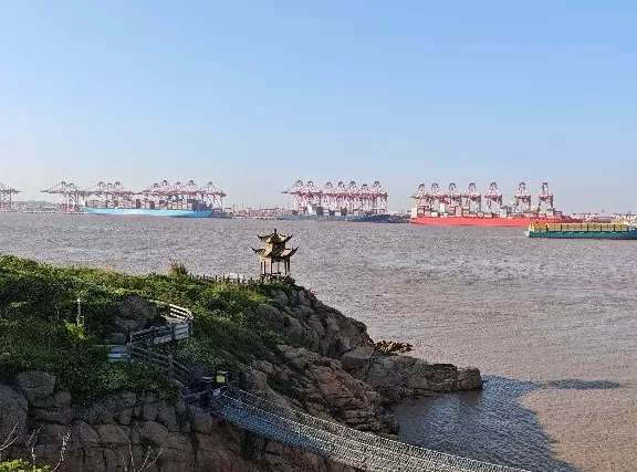 岛屿人类学漫游｜大、小洋山岛：从“洋山鱼”到“洋山港”-第1张图片-