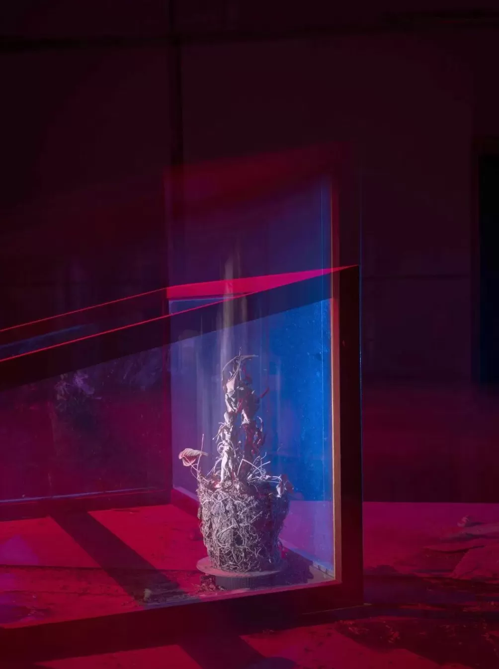 评2025丽水摄影节：在纷乱的图像年代寻找证明自身的价值-第8张图片-