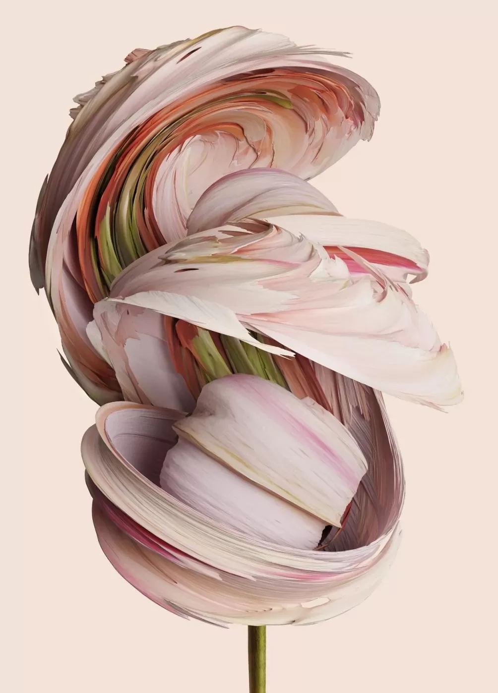 评2025丽水摄影节：在纷乱的图像年代寻找证明自身的价值-第11张图片-