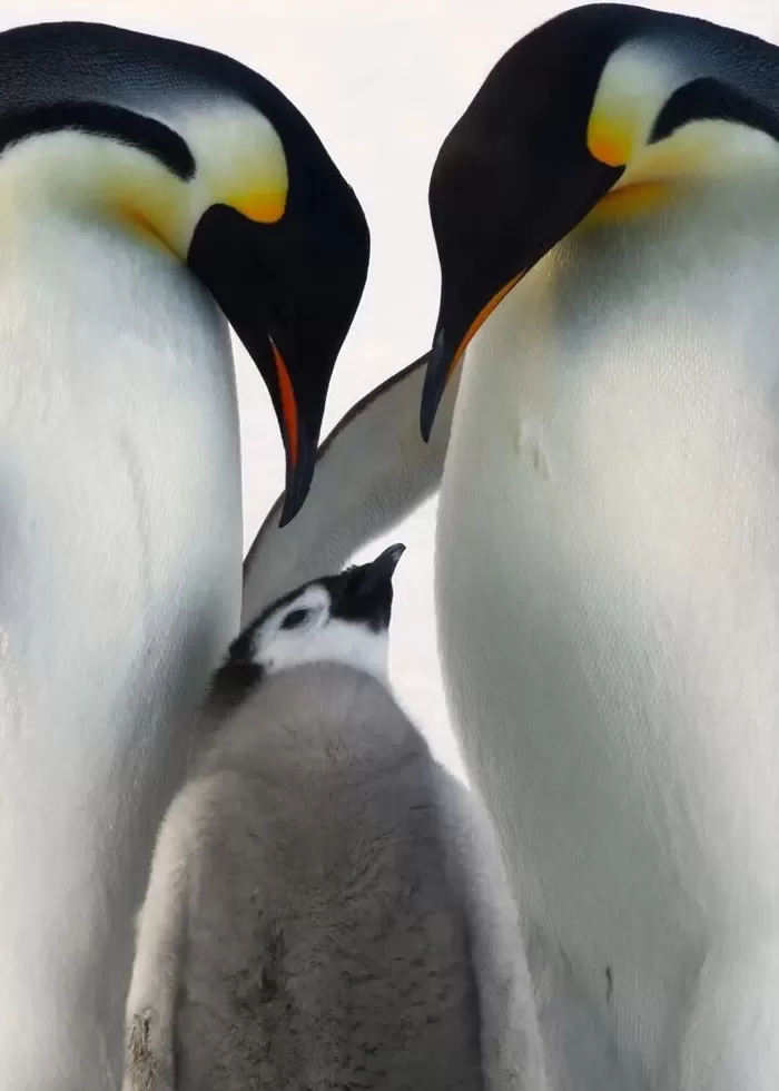 评2025丽水摄影节：在纷乱的图像年代寻找证明自身的价值-第15张图片-