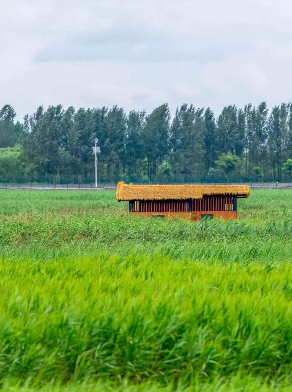 绿色为底：城市IP的可持续发展密码-第1张图片-