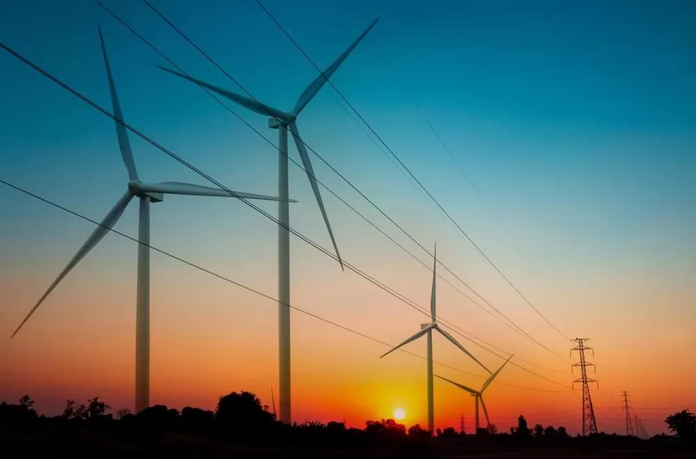 绿色为底：城市IP的可持续发展密码-第3张图片-