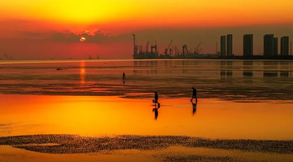 绿色为底：城市IP的可持续发展密码-第7张图片-