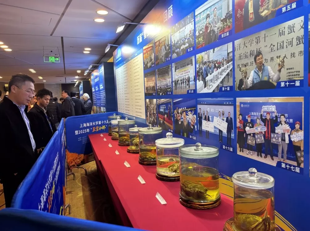 全国河蟹“奥斯卡奖”出炉：蟹王622.1克，蟹后451.2克-第2张图片-