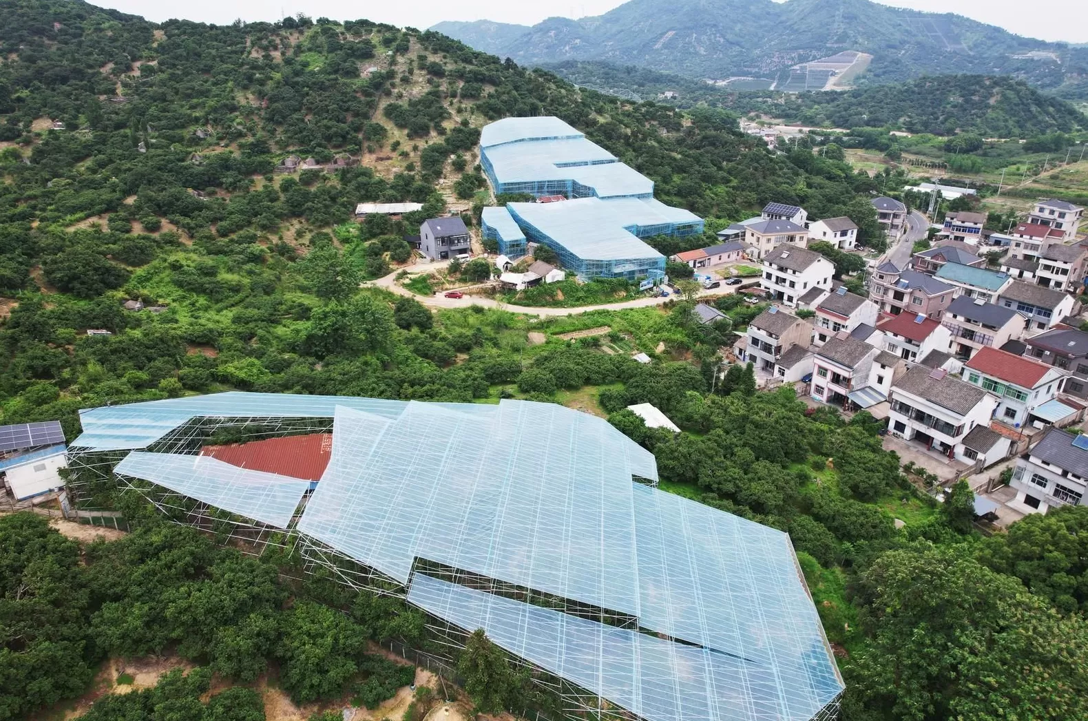 流量变增量：小城 IP 背后的产业跃升密码-第1张图片-