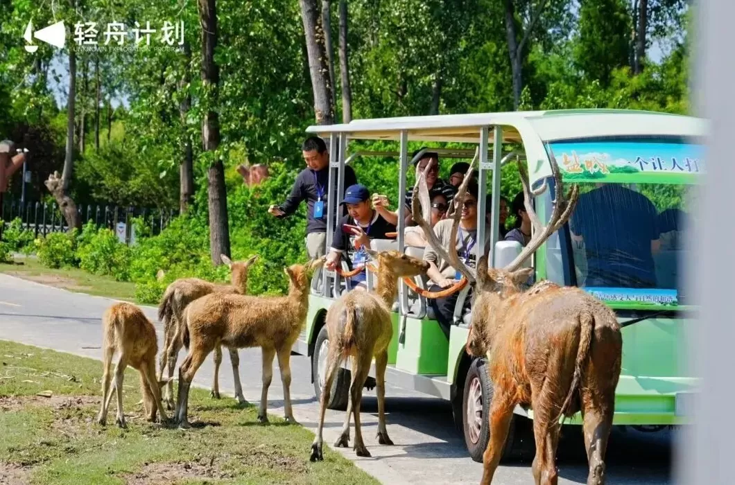 构建“NICE盐城·短剧之城”，江苏盐城即将亮相本届金鸡百花电影节-第5张图片-