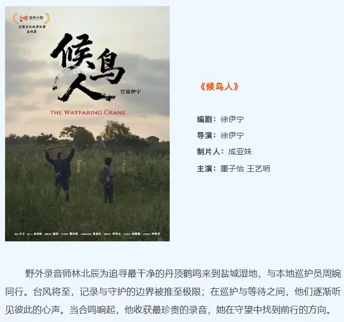 构建“NICE盐城·短剧之城”，江苏盐城即将亮相本届金鸡百花电影节-第12张图片-