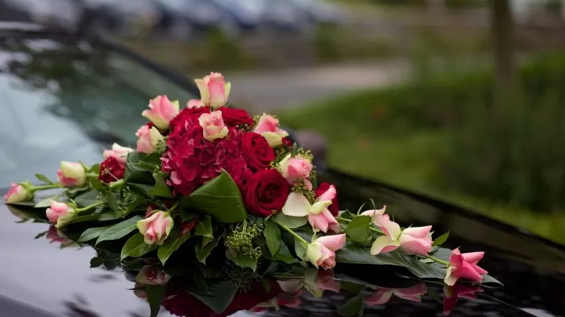 地方新闻精选 | 河北香河6人拦截婚车索要香烟被处罚 游客在瑞丽1.5万买“翡翠”实为假货-第1张图片- 地方新闻精选 | 河北香河6人拦截婚车索要香烟被处罚 游客在瑞丽1.5万买“翡翠”实为假货-第1张图片-