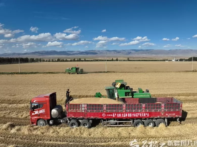 “慧”种田重塑新疆农业生产方式-第3张图片- “慧”种田重塑新疆农业生产方式-第3张图片-