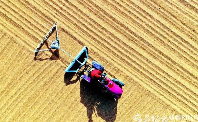 奋进的新疆·我们的“十四五”丨从“自己吃饱”到供给国家-第1张图片-