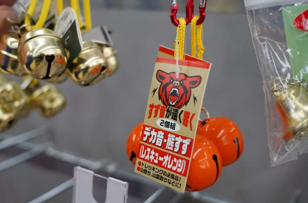 观察｜日本“谈熊色变”，是时候开始接受“与熊共存”的事实了？-第1张图片-