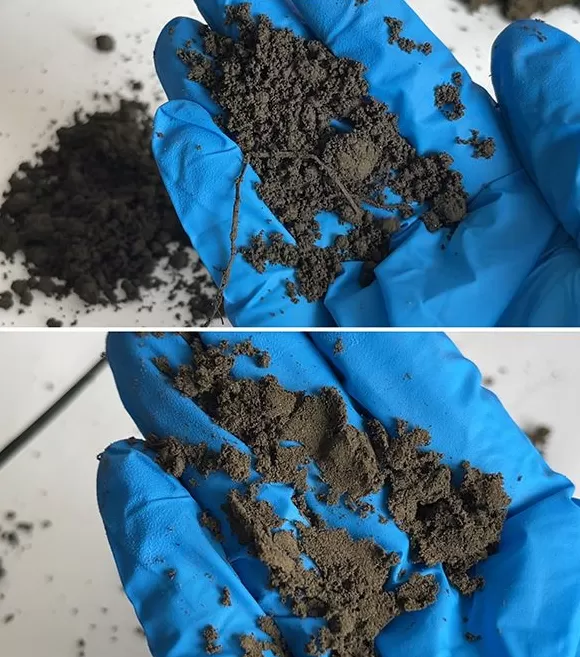 影子调查|“毒营养土”搅乱市场,何以监管处罚?-第2张图片- 影子调查|“毒营养土”搅乱市场,何以监管处罚?-第2张图片-