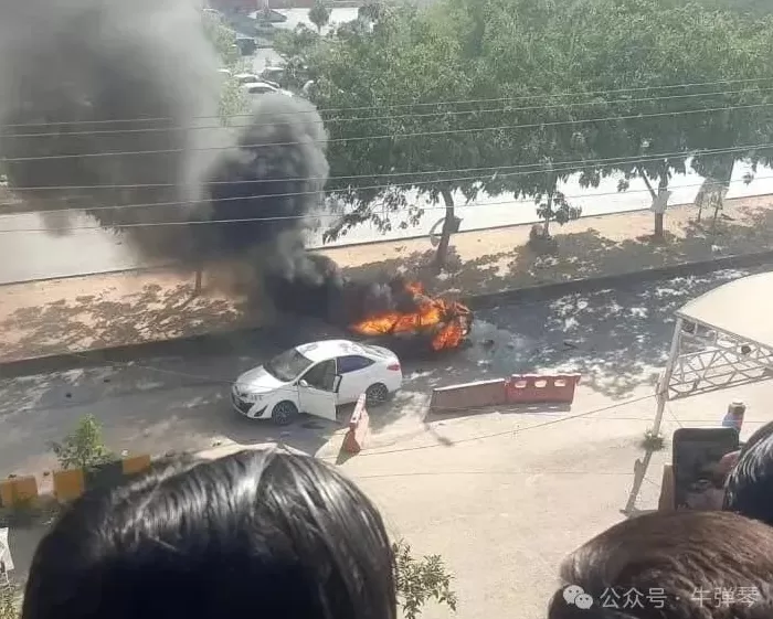 这两件事,很蹊跷-第3张图片- 这两件事,很蹊跷-第3张图片-