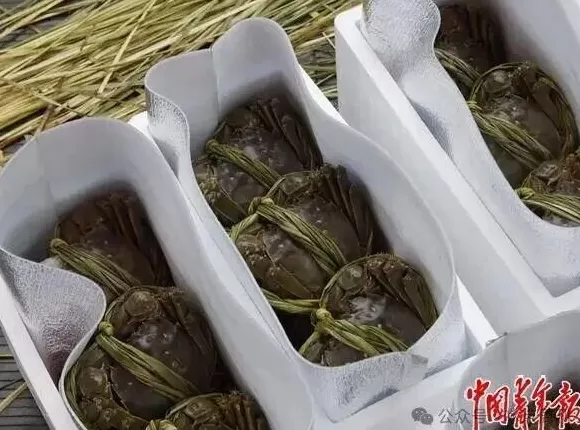 一群法官，直播“吃螃蟹”-第2张图片-