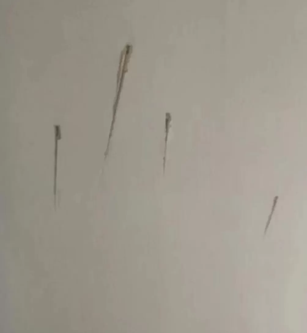 从家暴到割喉，女护士5年的“漫长死亡”-第5张图片-