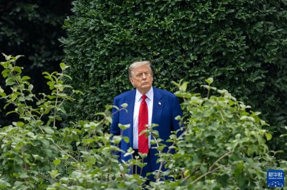 陈冰：明年的中期选举，特朗普可能会遭遇第五个挫折-第2张图片-