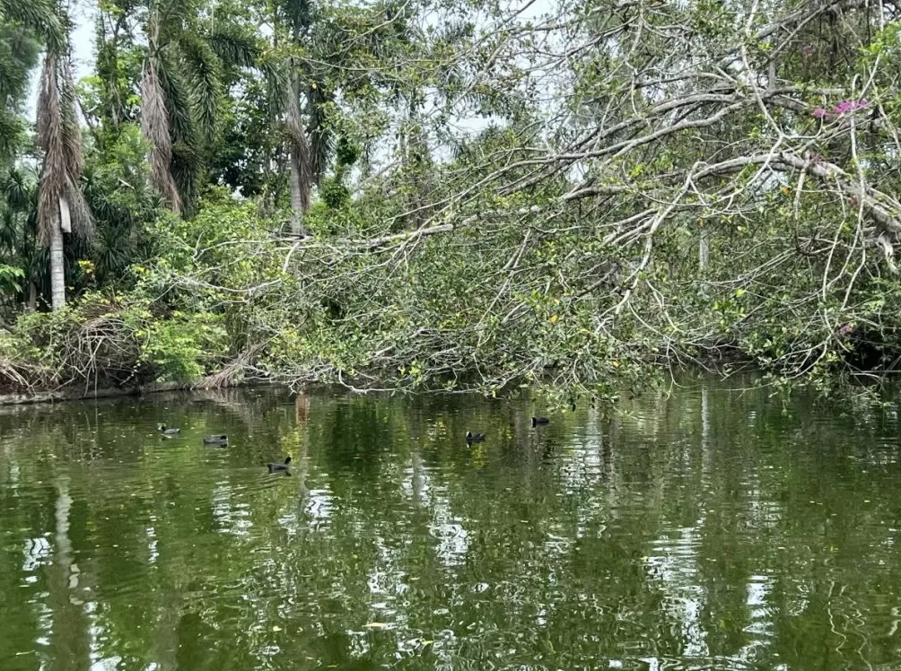 热带岛屿的降温考题：海南如何推进“清凉城市”-第3张图片-