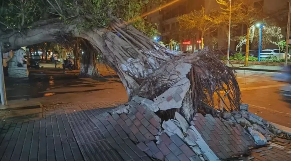 热带岛屿的降温考题：海南如何推进“清凉城市”-第5张图片-