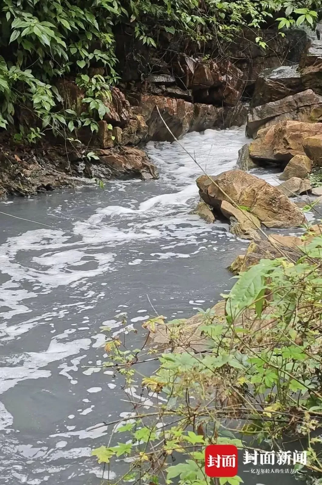 重庆南川通报孝子河污染情况：已确定污染源，将制定整治方案-第1张图片-