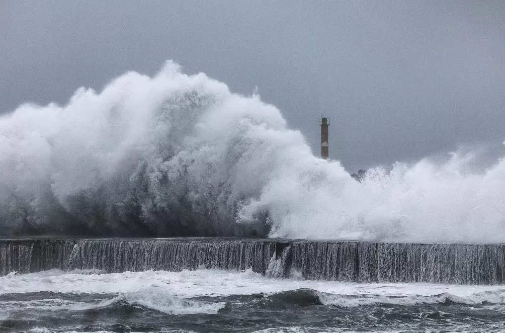 第1现场｜台风“凤凰”携冷空气造风雨，申城下周断崖式降温-第3张图片-