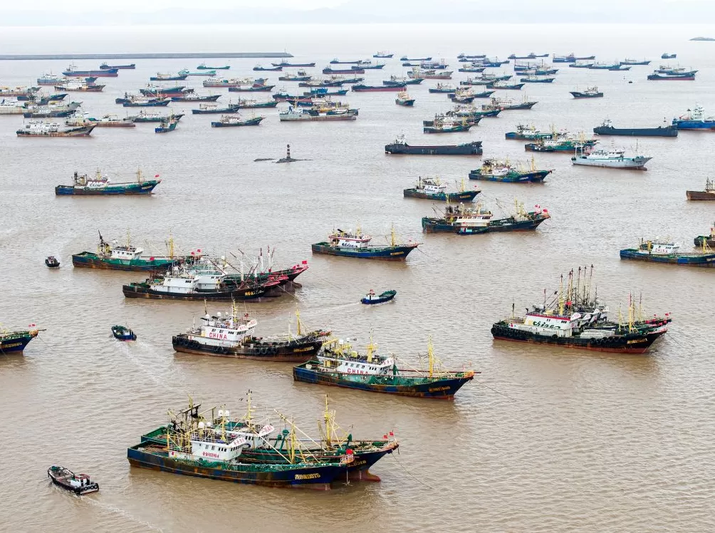 第1现场｜台风“凤凰”携冷空气造风雨，申城下周断崖式降温-第7张图片-