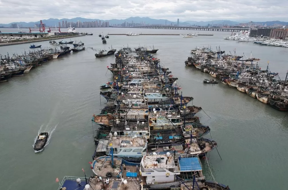 第1现场｜台风“凤凰”携冷空气造风雨，申城下周断崖式降温-第9张图片-