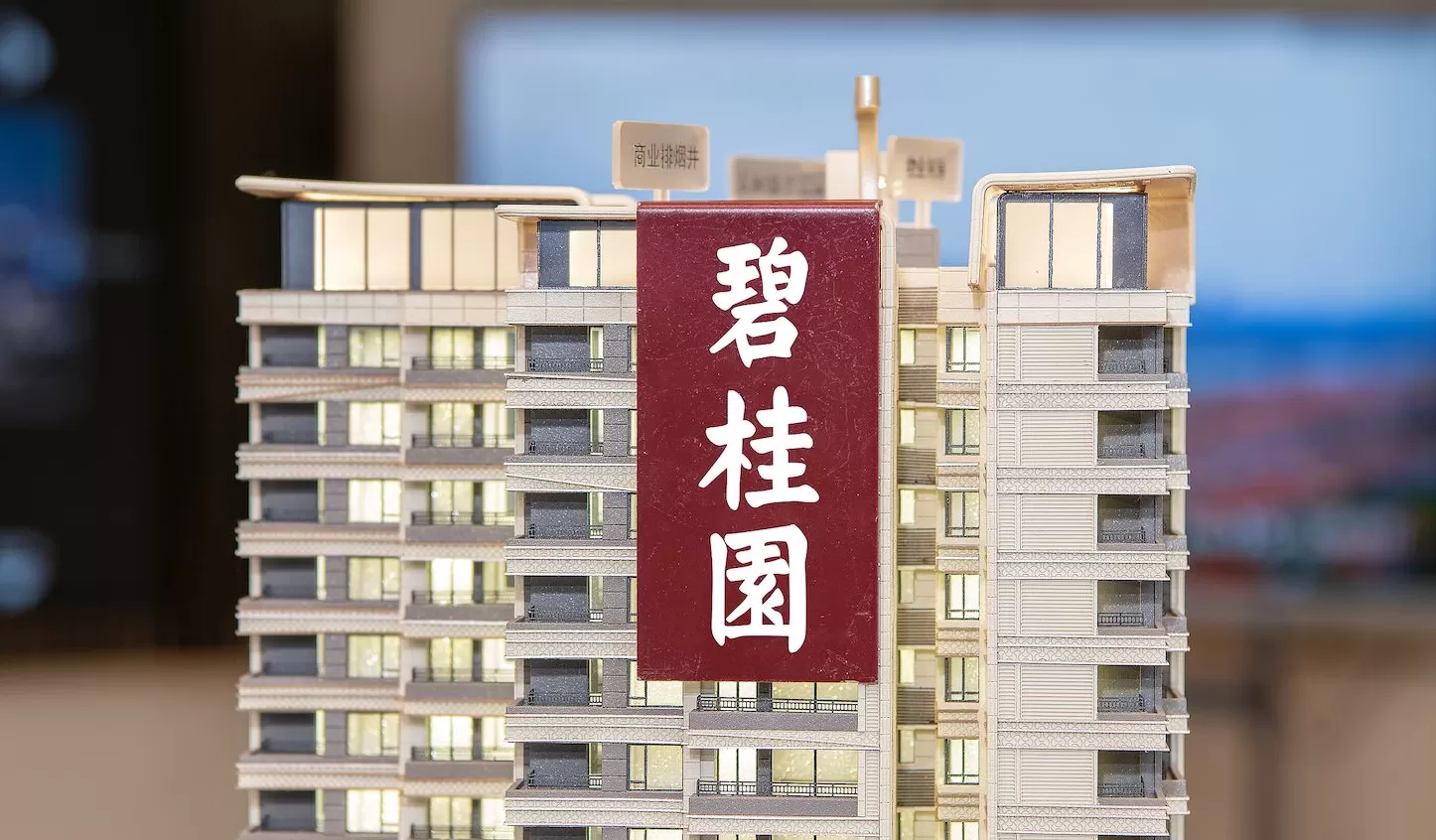 碧桂园地产被冻结12.3亿元，被执行金额超62亿-第2张图片-