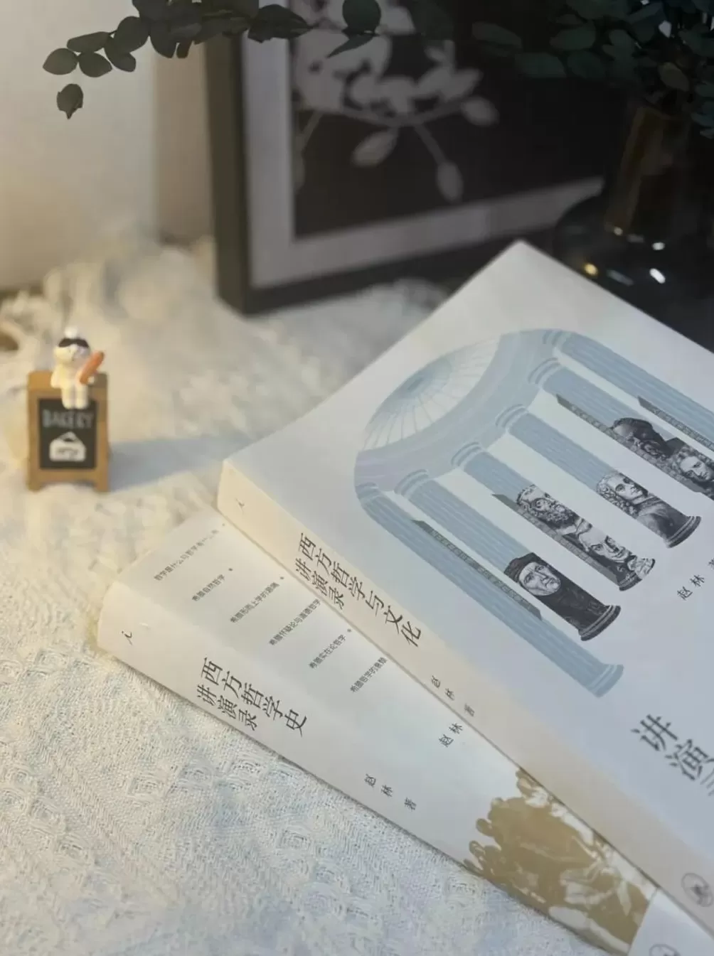 赵林:这个时代可能不太配谈哲学了-第2张图片- 赵林:这个时代可能不太配谈哲学了-第2张图片-