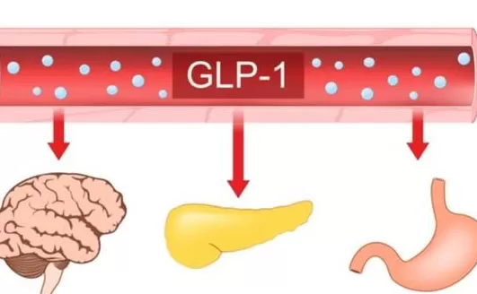 川普大药房：减肥药打2折，让美国人减重5600万公斤-第19张图片-