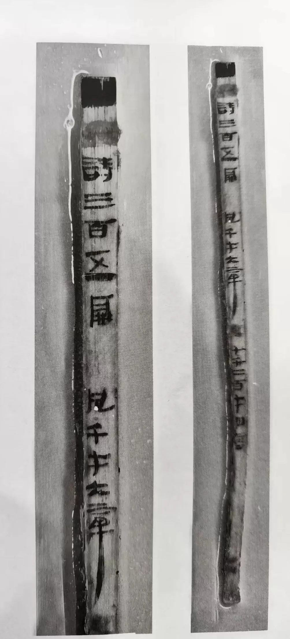 深度解读|十余年修复,秦汉全本《诗经》如何重见天日-第1张图片- 深度解读|十余年修复,秦汉全本《诗经》如何重见天日-第1张图片-