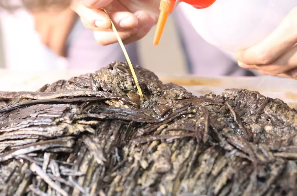 深度解读|十余年修复,秦汉全本《诗经》如何重见天日-第4张图片- 深度解读|十余年修复,秦汉全本《诗经》如何重见天日-第4张图片-