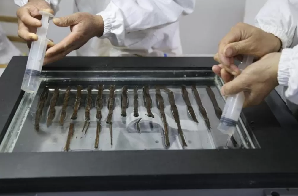 深度解读|十余年修复,秦汉全本《诗经》如何重见天日-第7张图片- 深度解读|十余年修复,秦汉全本《诗经》如何重见天日-第7张图片-