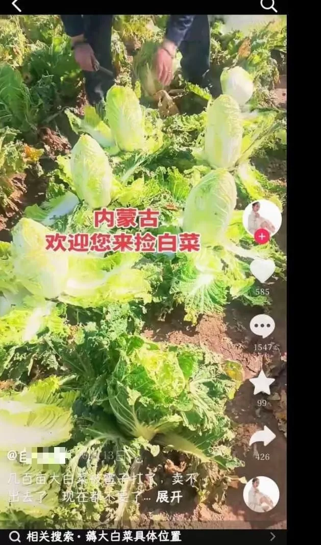 个别媒体的报道，有点影响人们生活生产了-第8张图片-