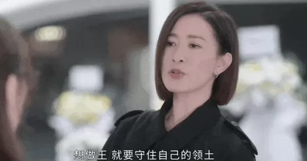 《新闻女王2》拍成广告女王！巨亏30亿的TVB，想多来几个“佘诗曼”-第3张图片-