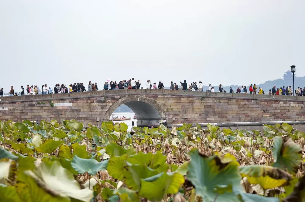 城事｜秋假首日，各地小朋友都在做什么？-第11张图片-