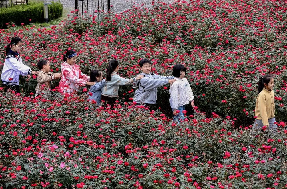 城事｜秋假首日，各地小朋友都在做什么？-第14张图片-