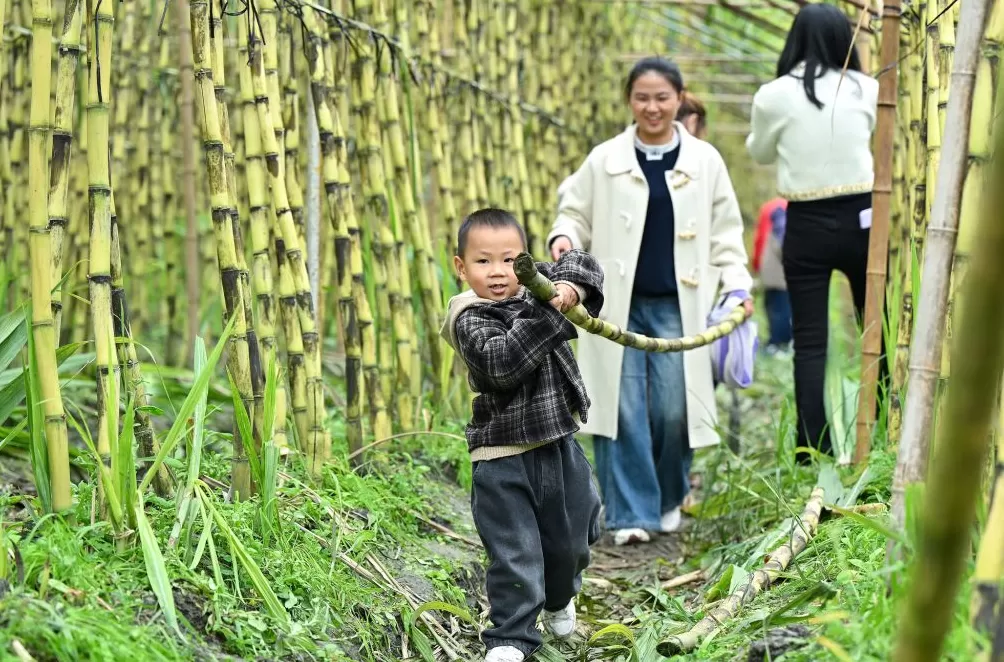 城事｜秋假首日，各地小朋友都在做什么？-第15张图片-