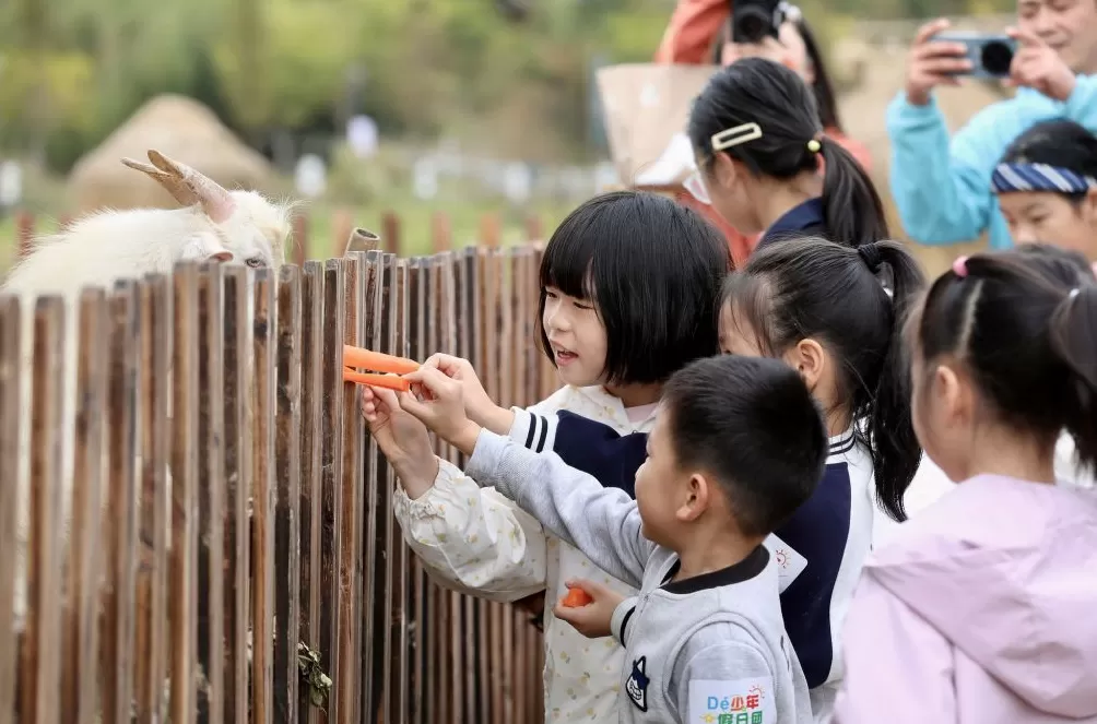 城事｜秋假首日，各地小朋友都在做什么？-第18张图片-