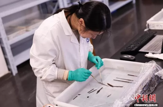 作家李敬泽:海昏侯墓《诗经》值得期待,但一切要等整理完成-第2张图片- 作家李敬泽:海昏侯墓《诗经》值得期待,但一切要等整理完成-第2张图片-